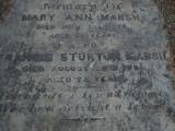image of grave number 143831